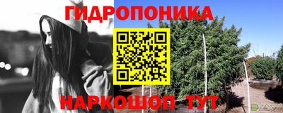 индика Янаул