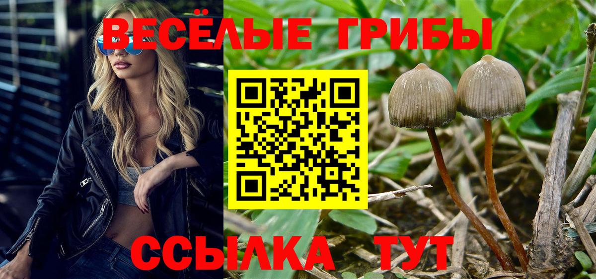 наркошоп  Вход с VPN  Псилоцибиновые грибы MAGIC MUSHROOMS  Усинск  Псилоцибиновые грибы MAGIC MUSHROOMS 