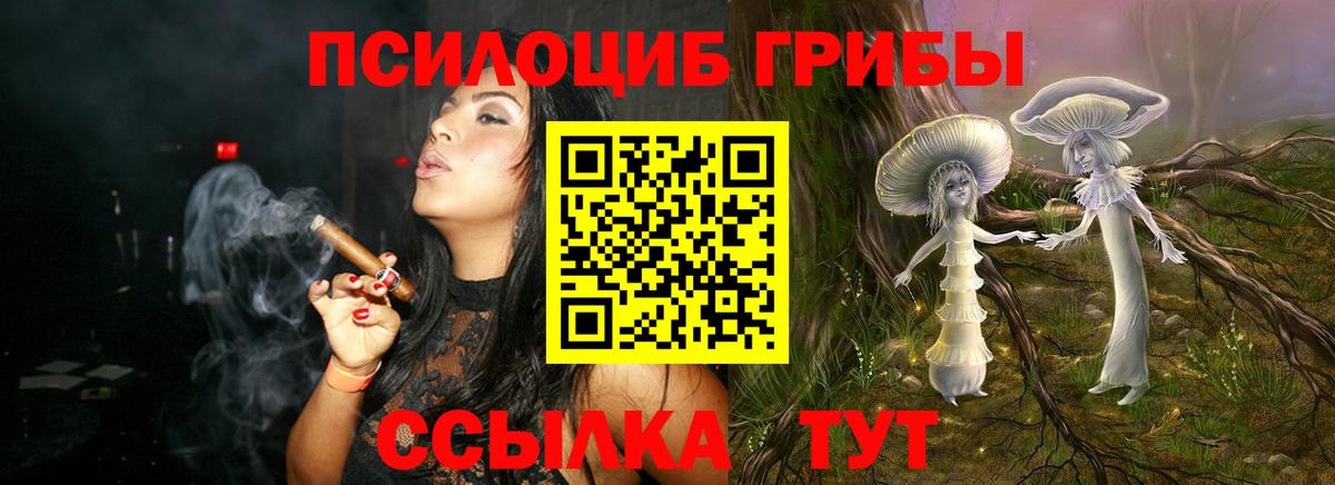 Галлюциногенные грибы Cubensis Усинск